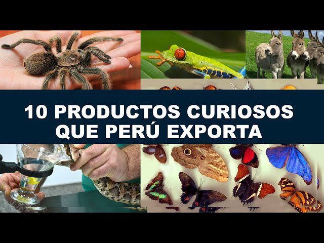 Descubre los 10 principales productos de exportación del Perú: guía para emprendedores e importadores