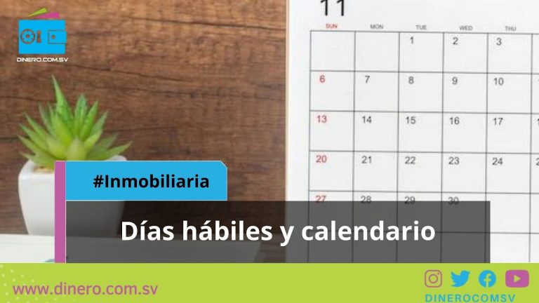 Días hábiles vs. Días calendario: Claves para Entender los Plazos en Trámites en Perú