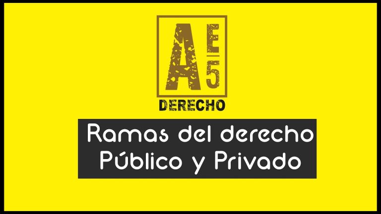 Diferencia entre Derecho Público y Privado: Guía completa para entender su aplicación en trámites legales en Perú