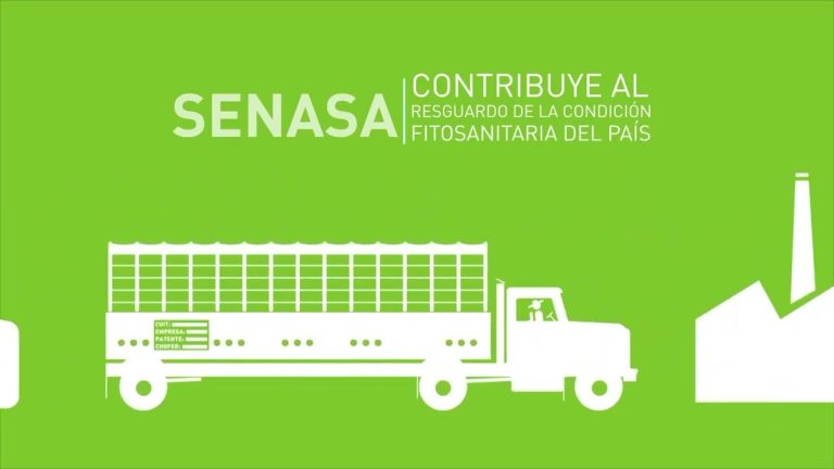 Todo lo que necesitas saber sobre el directorio SENASA en Perú: trámites y requisitos