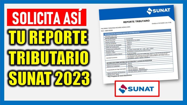 Todo lo que necesitas saber sobre el reporte tributario de la Sunat en Perú: trámites, requisitos y fechas límite