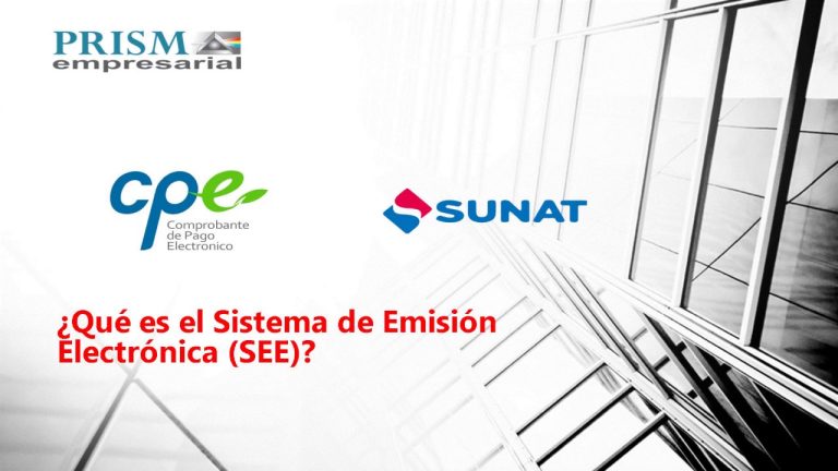 ¿Cómo realizar una consulta al sistema de emisión electrónica SEE Emisor en Perú? Guía paso a paso