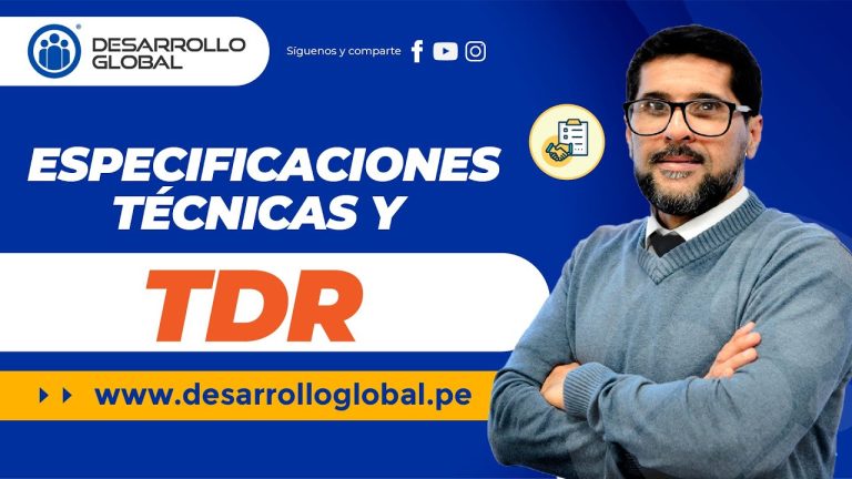 Descubre todo sobre el TDR en Perú: qué es, cómo funciona y su importancia en trámites
