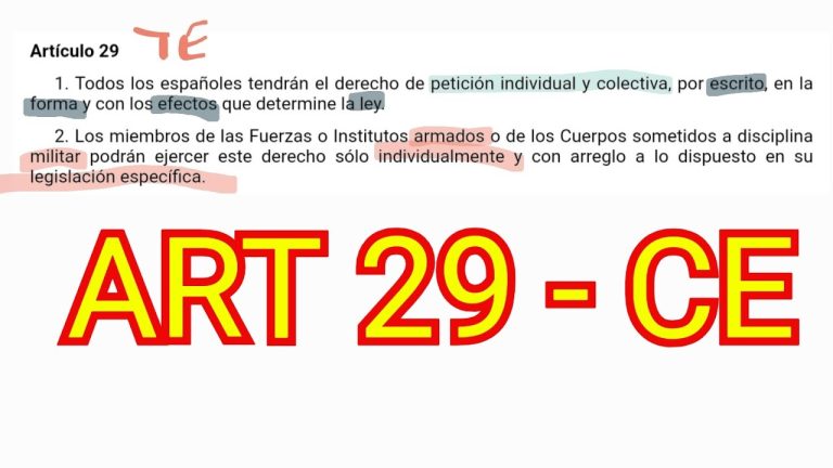 Todo lo que necesitas saber sobre el Artículo 29: Guía completa para trámites en Perú