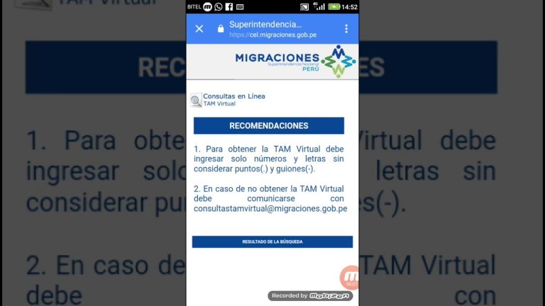 Todo lo que necesitas saber sobre la consulta TAM virtual en Perú: trámites al alcance de un clic