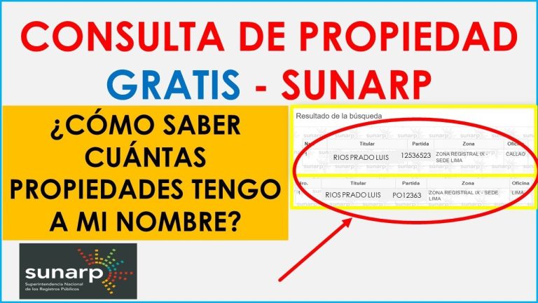 Todo lo que necesitas saber sobre la página web de Sunarp: Trámites, consultas y más en Perú