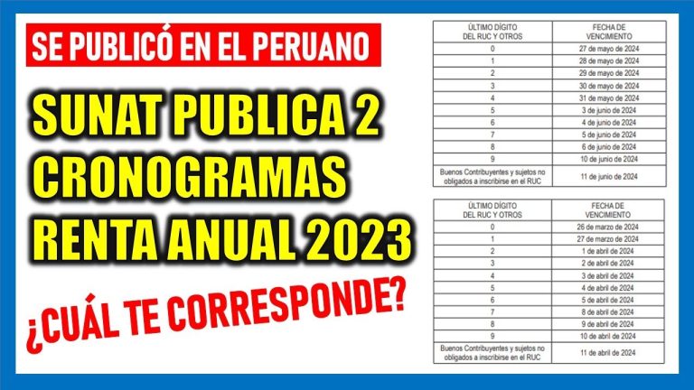 Guía Completa: Cronograma de Declaraciones en Perú 2021 – Todo lo que Debes Saber