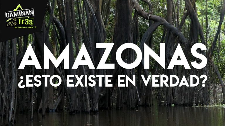 Descubre la belleza de la selva amazónica en Perú y conoce los trámites necesarios para explorarla